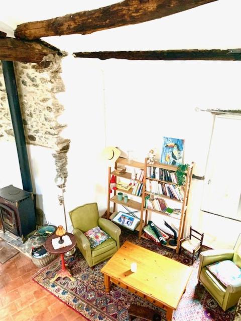 Grande Maison Cevenole Authentique Valleraugue Extérieur photo
