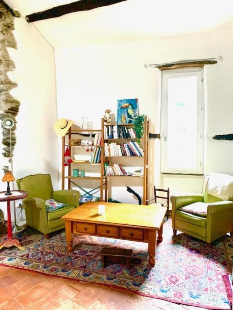 Grande Maison Cevenole Authentique Valleraugue Extérieur photo