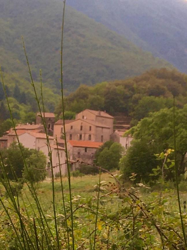 Grande Maison Cevenole Authentique Valleraugue Extérieur photo